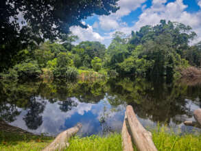 Views of the Napo River