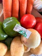Vegetable Bowl