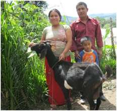 The Brito family and their goat.