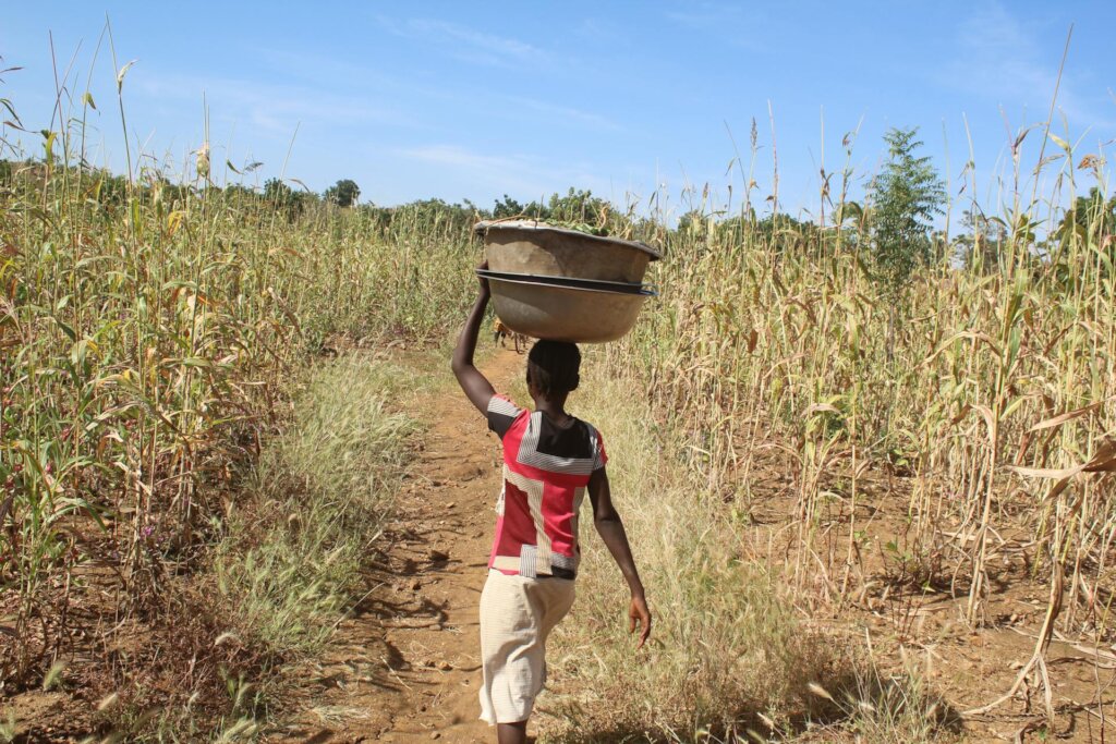 Sponsor 1year of School for Underrepresented Girls