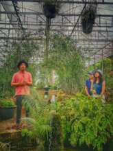 TICA seminar 2024