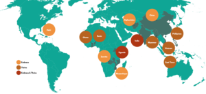 Where Embrace and Thrive Networks Operate