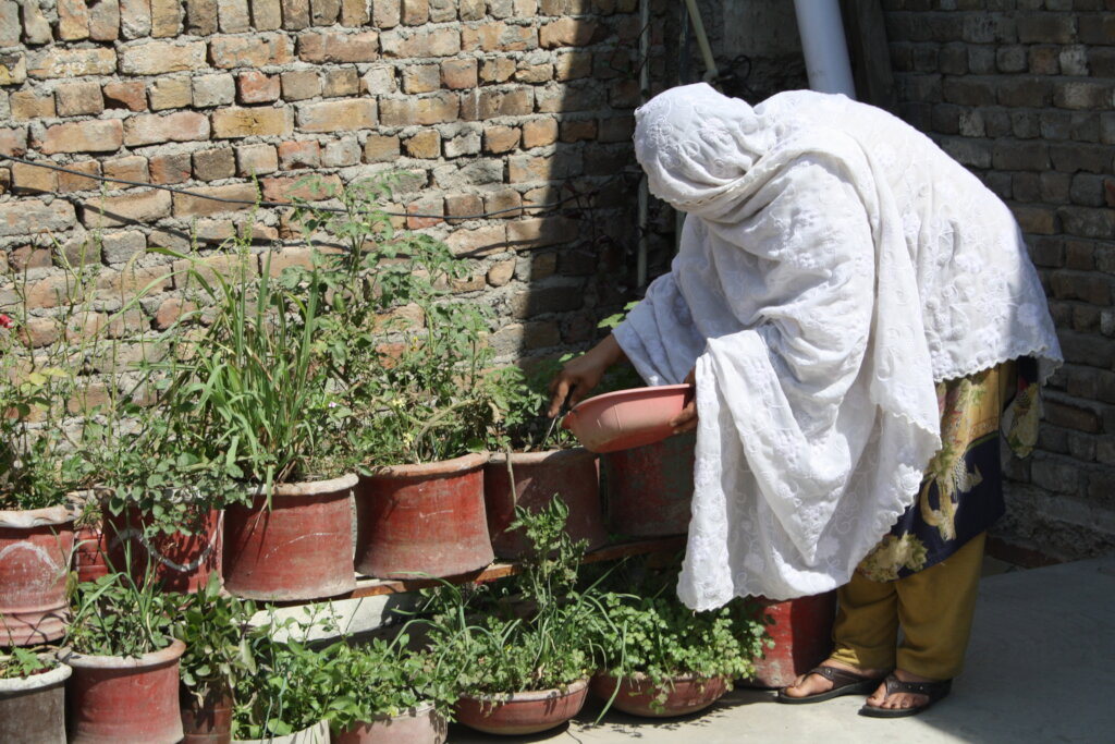 Empowering Women for Climate-Smart Cities in RWP