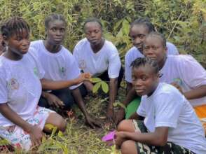 Community tree planting event