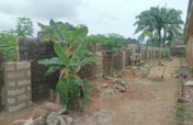 Reconstruct a Community Primary School's Fence