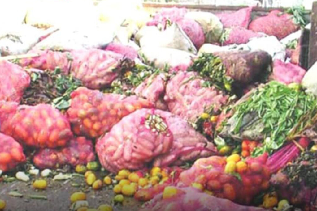 Cutting Food Loss to Fight Malnutrition in Nigeria