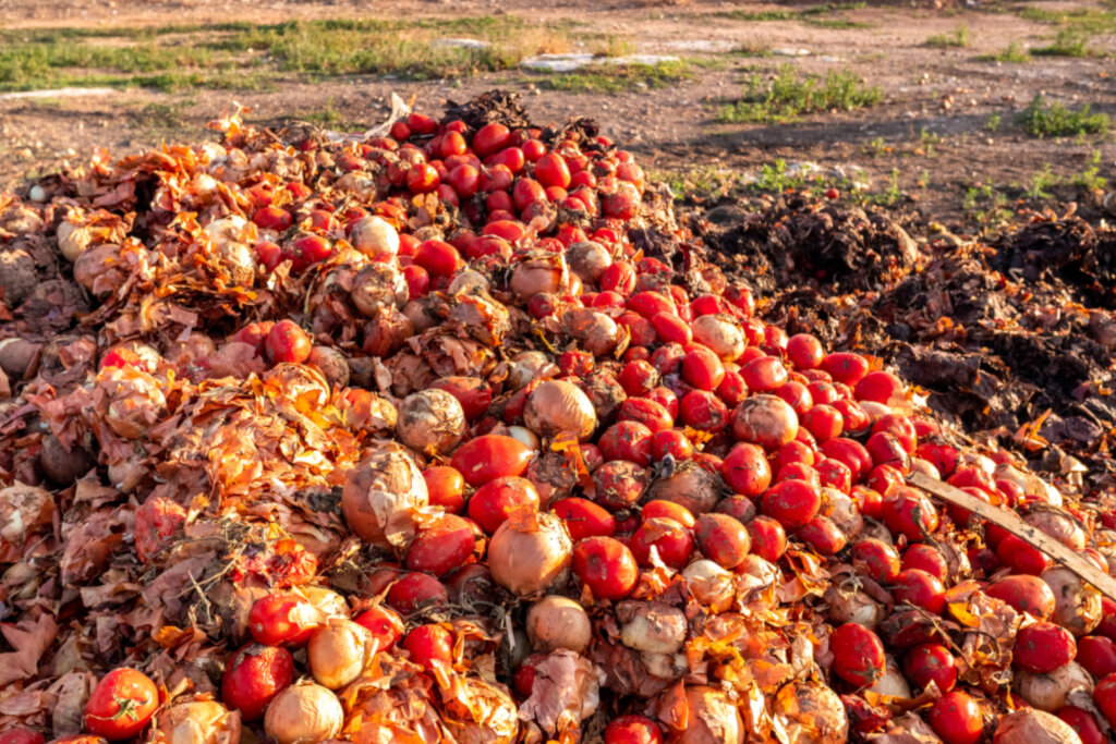 Cutting Food Loss to Fight Malnutrition in Nigeria