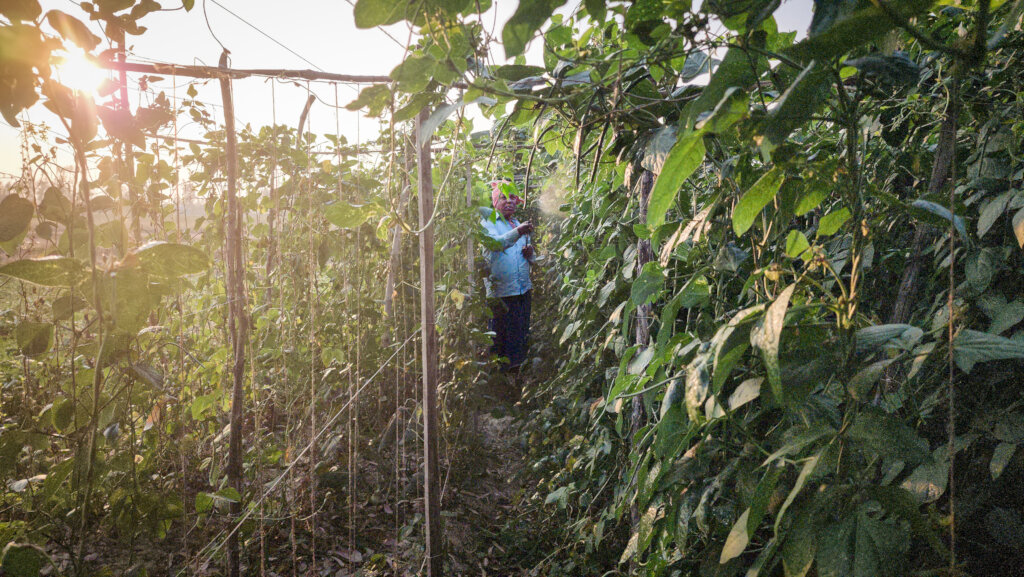 Protect 900 Villages from Climate Disasters