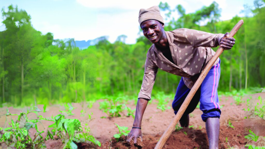 Eliminate Hunger in Nigeria Through Youth Farming