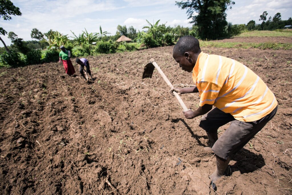 Eliminate Hunger in Nigeria Through Youth Farming