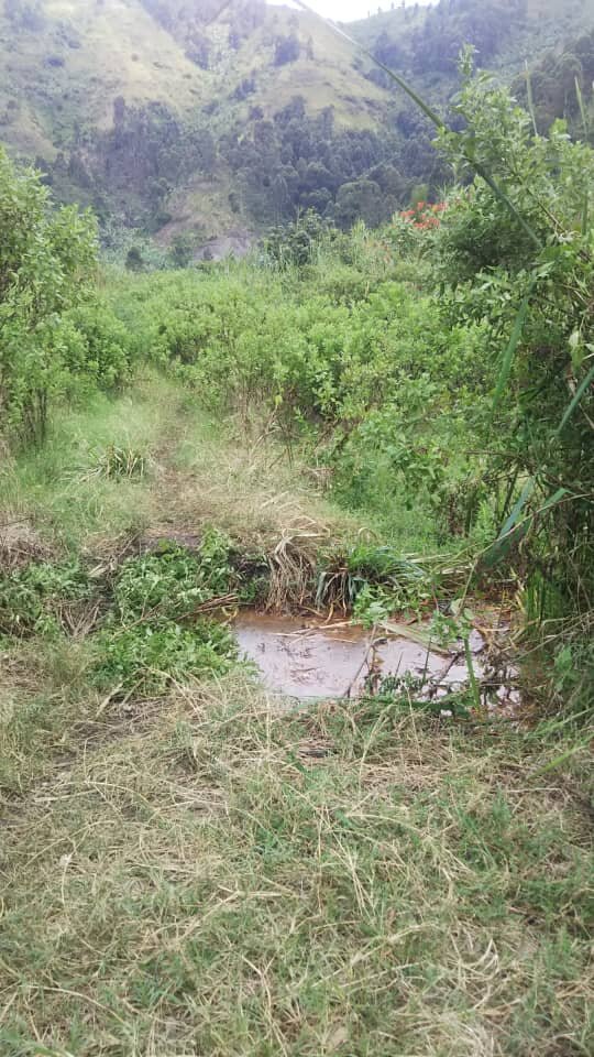 Facilitating Access to Clean Water in Kibumba