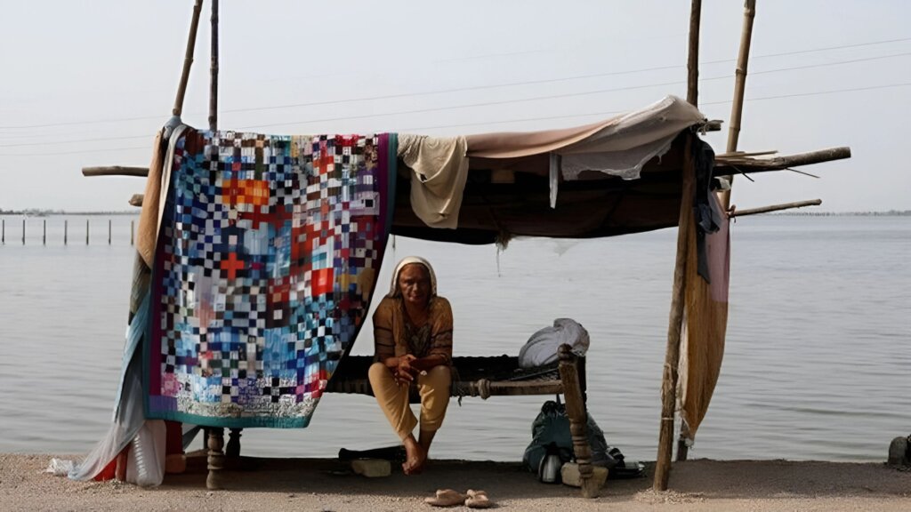 Save a Family from Dengue with a Mosquito Net