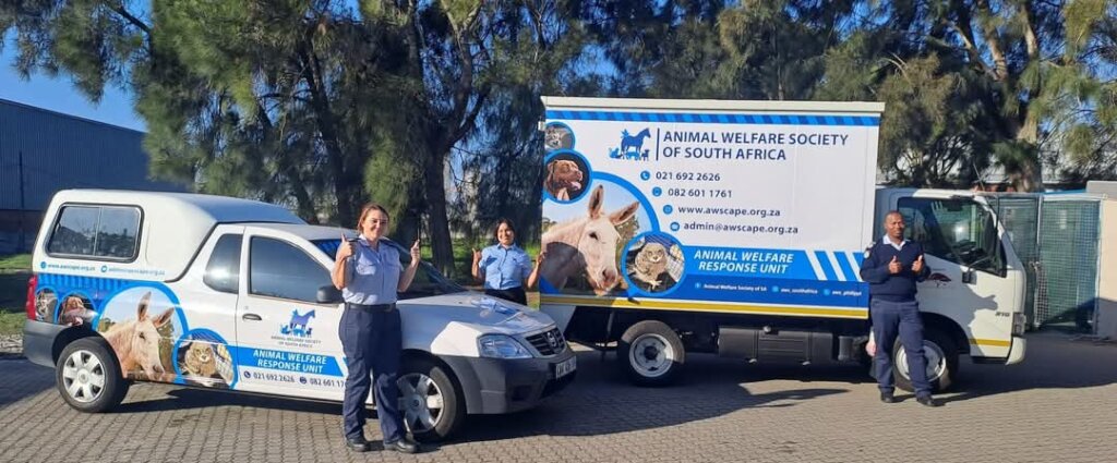 Help to End Pet Homelessness in Cape Town