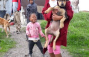 Help to End Pet Homelessness in Cape Town