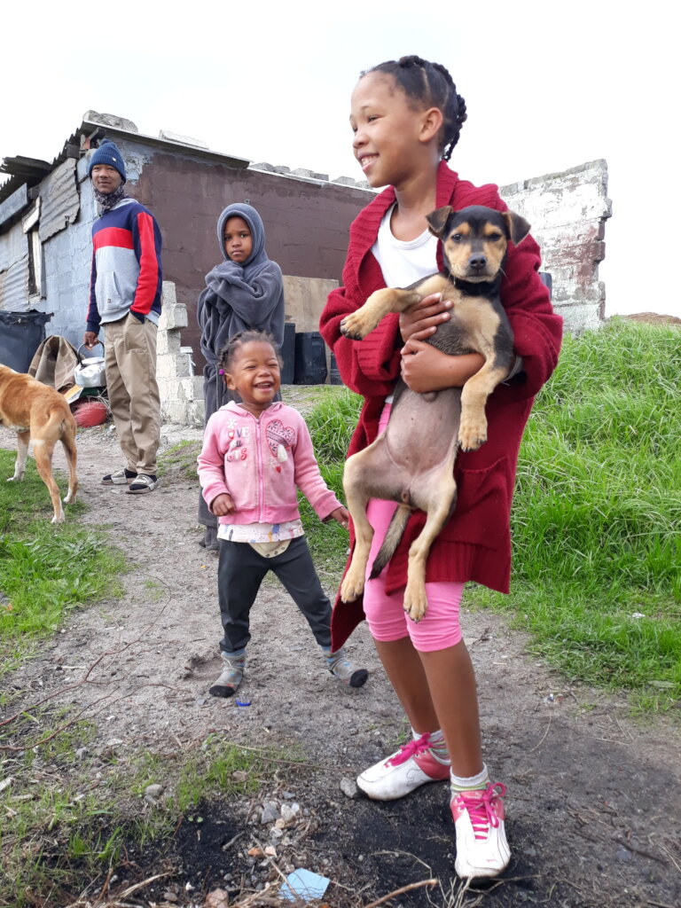 Help to End Pet Homelessness in Cape Town