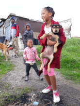 Help to End Pet Homelessness in Cape Town