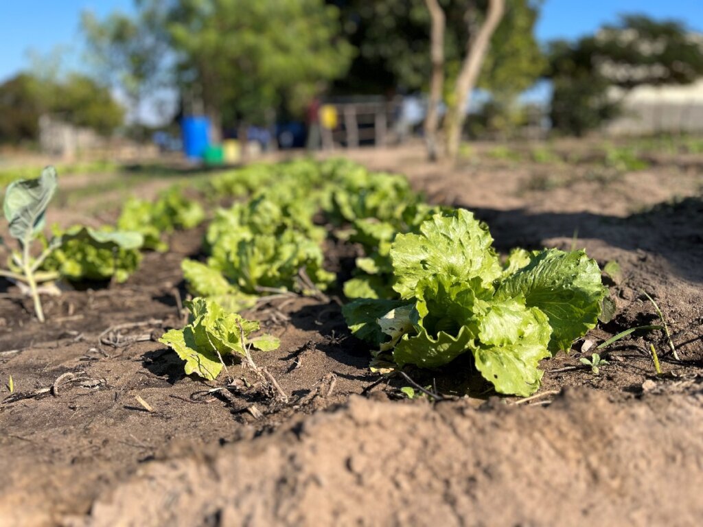 Santorini Mozambique Footprints -Chigamane School