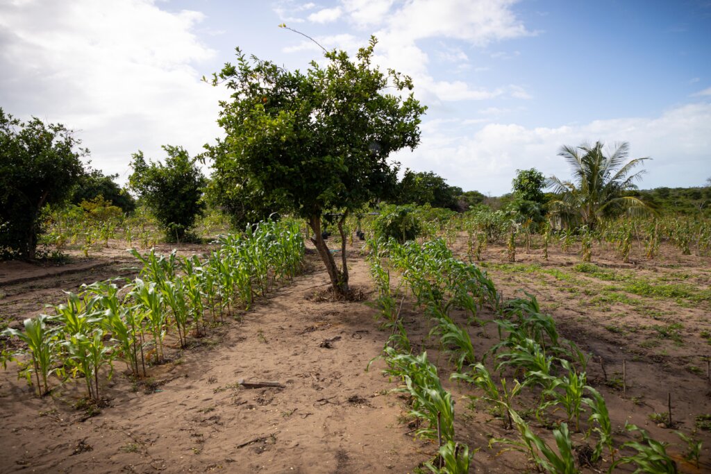 Santorini Mozambique Footprints -Chigamane School