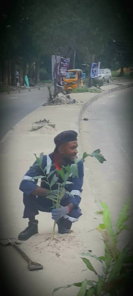 PLANT 10000 TREES TO REDUCE HEAT AND FLOODING