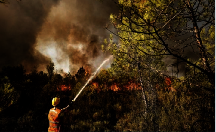 TPF Wildfire Relief Fund