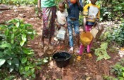 Clean Drinking Water for 2000 Mbororos in Cameroon