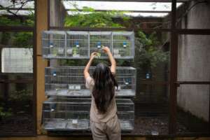 Everyday tasks in the center