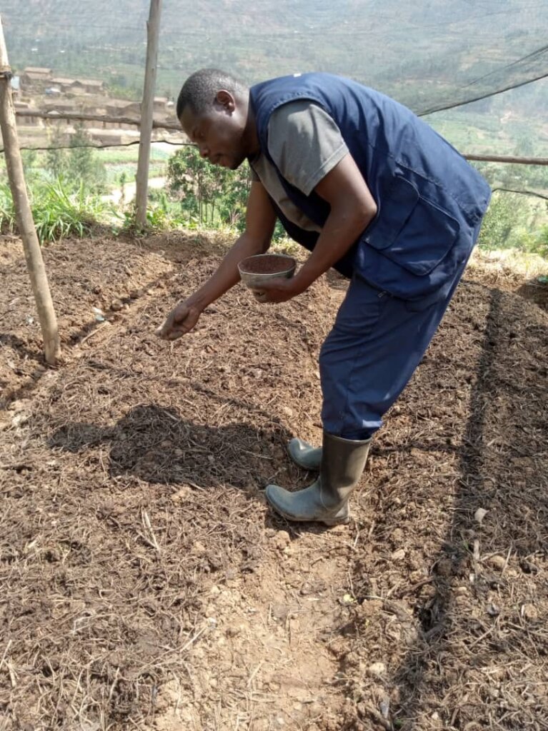 Plant 50,000 Trees In Northern Rwanda