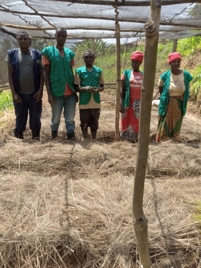 Plant 50,000 Trees In Northern Rwanda