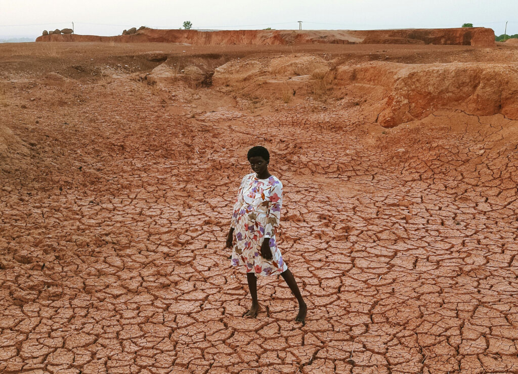 Restore Ankpa Nature Forest: Plant 100,000 Trees