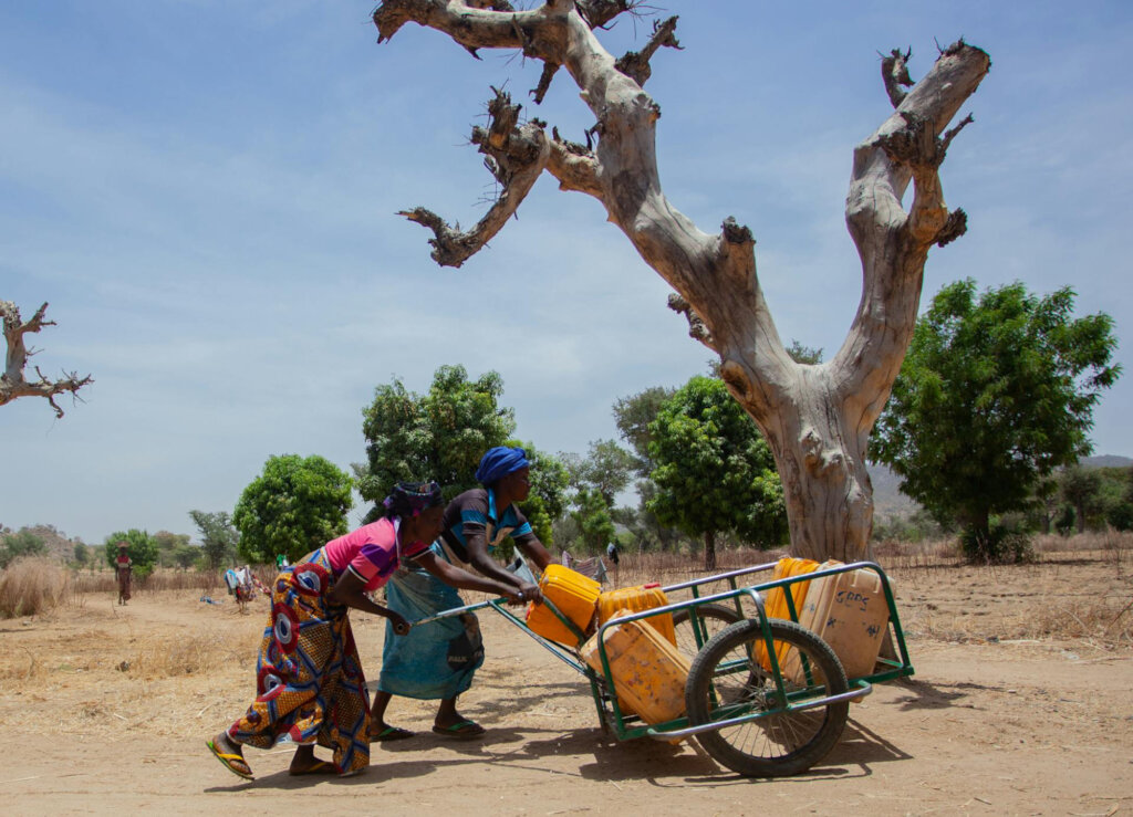 Restore Ankpa Nature Forest: Plant 100,000 Trees
