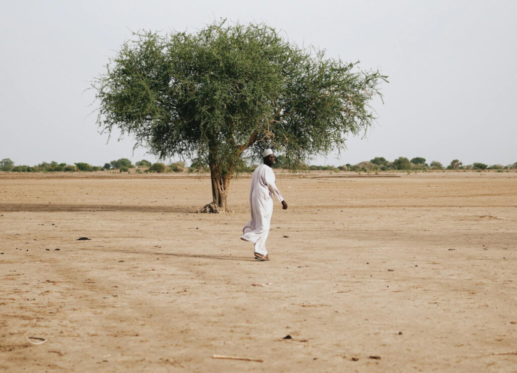 Restore Ankpa Nature Forest: Plant 100,000 Trees