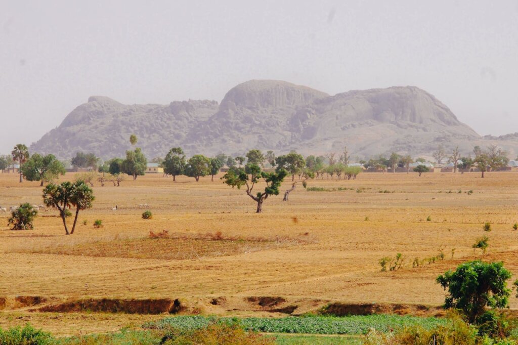 Restore Ankpa Nature Forest: Plant 100,000 Trees