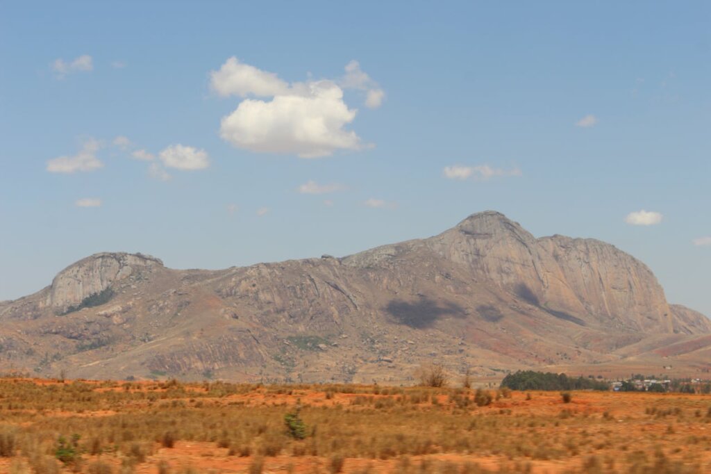 Restore Ankpa Nature Forest: Plant 100,000 Trees