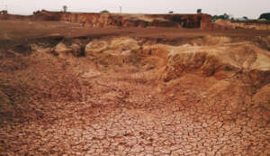 Restore Ankpa Nature Forest: Plant 100,000 Trees