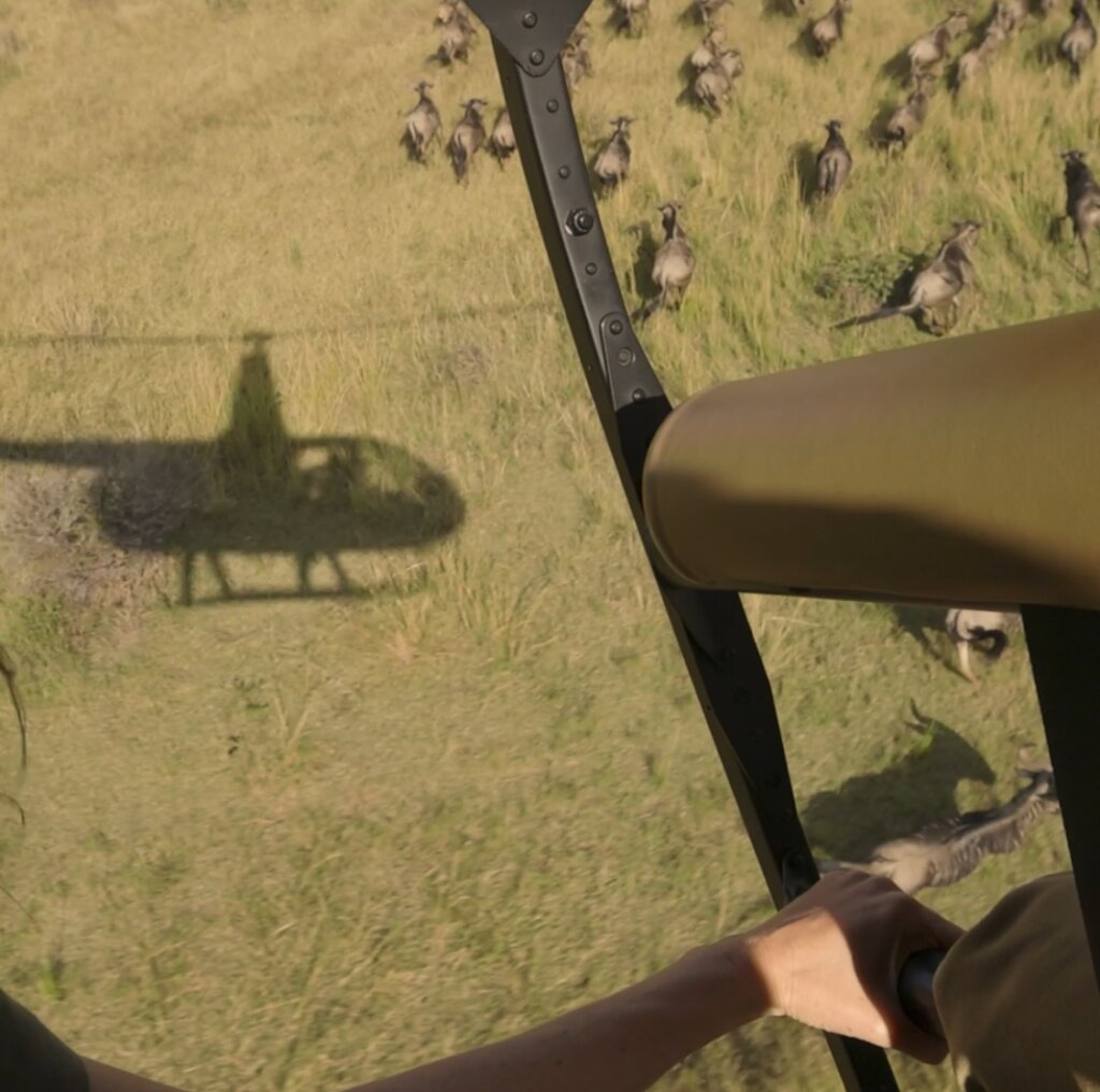 Help Fund Flights for Wildlife Protection