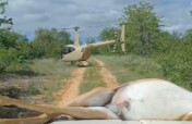 Help Fund Flights for Wildlife Protection