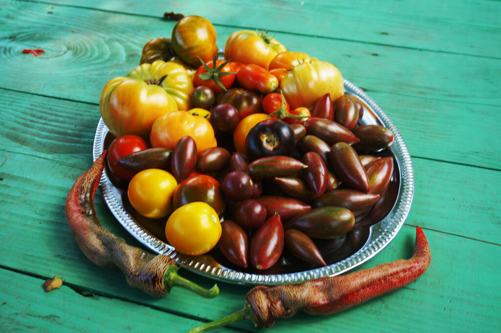 Help Renovate & Save Suncokret's Community Center