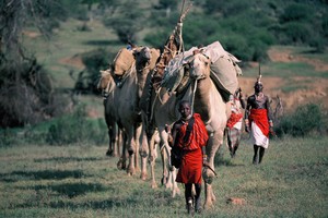 About to arrive at the village