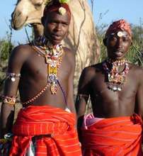 Morans arriving for 'cookies'