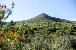 Bhodi Khaya, Uilenkraal Valley