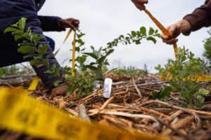 Monitoring & Evaluation