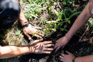 Many hands make light work.