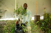 Restore Forest Ecosystems In Sub-Saharan Africa