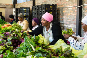 Harvest of Hope Pack shed in action