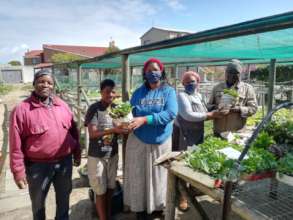 Home gardeners receive seedlings