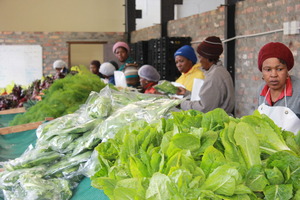 Packaging the Vegetables for Delivery