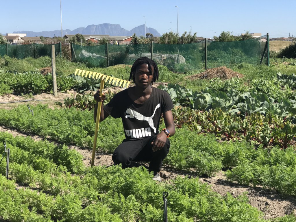 Young Farmer in his garden