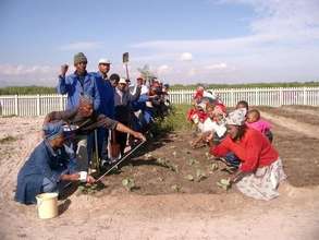 Setting up a community garden