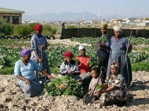 Bountiful harvest