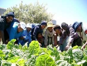 HIV-Aids treatment-support garden group in Nyanga